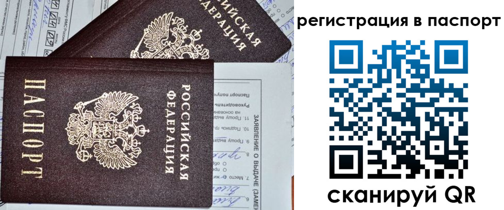 прописка законно в Волхове